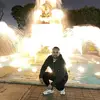 Armando triana - @armand.triana1 - TikTok