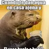 el dandy - @armandotriana345 - TikTok