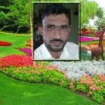 Armghan Malik - @malikarmghan - Instagram