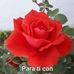 Armida Ramirez - Facebook