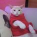 Armida Trujillo - Facebook