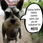 Armin Reyes - @arminreyes42 - Instagram