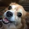 arminreyes19 - @arminreyes19 - TikTok