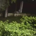 Arnaldo Alegre - @arnaldo.alegre.98 - Instagram