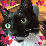 Giuseppe Arnaldo Morandi - @arnaldo.morandi.5 - Instagram