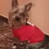 Rosa Arnaldo - @rosa.arnaldo - TikTok
