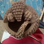 Arnaldo Ariel Vargas - @arnaldoarielvargas - Instagram