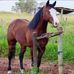 Arnaldo Vargas - Facebook