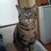 arnaudlefebvre13 - @arnaudlefebvre13 - TikTok