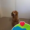 arnaudlefebvre73 - @arnaudlefebvre73 - TikTok