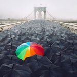 Arnaud Roy - @arnaud_roy - Instagram