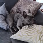 Arne Meyer - @arne.meyer.1810 - Instagram