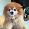 Hi 😜🤙😀 - @arnel.martinez - TikTok