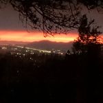 Arnie Brown - @arnie.brown - Instagram