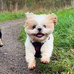 Arnie Brown - @arniebrown20 - Instagram