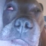 @arnie_brownman - Instagram