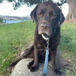 Mr Arnie Brown - @mrarniebrown - Instagram