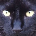 Arnie White - @arniewhite20 - Instagram