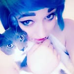 arnie the cat - @arnie.williams.catstagram - Instagram