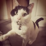 arnie williams (poops) - @arnold9562 - Instagram