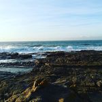 arno botha - @arnobotha22 - Instagram