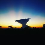 Arno Botha - @arno1botha - Instagram