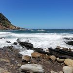 Arno Botha - @arnobotha49 - Instagram