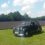 Arno Jansen - Facebook