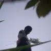 Arnob Das - @arnob.das27 - TikTok