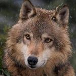 Arnold Acker - @arnoldacker - Instagram