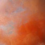 allison arnold - @allisonarnold743 - Instagram