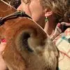Allison Arnold - @allisonarnold379 - TikTok