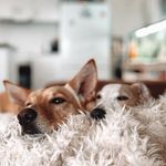 Arnold & Bailey - @baileyandarnold - Instagram