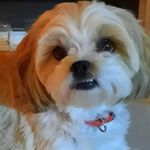 Arnold Bailey - @arnold.bailey.5815 - Instagram