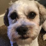 Bentley Arnold Lange - @bentley_arnold - Instagram
