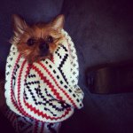 Bentley Arnold Parker - @bentleyarnoldparker - Instagram