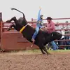 bentleyarnold7 - @bentley.arnold - TikTok