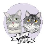 Arnold & Bernard - @arnieandbernie - Instagram