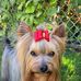 Arnold Brock - Facebook