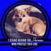 Dianna Arnold-Carroll - Facebook