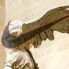 Arnold_McCobb - @swooshontour - TikTok