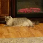 Pat Arnold Dockery - @patarnolddockery - Instagram