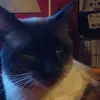 Arnold Farmer - @arnold.farmer3 - TikTok