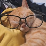 Arnold Gabriel Cayetano - @gabyy.longqt - Instagram