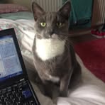 Arnold Gibbons - Facebook