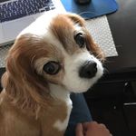 Arnold Harrison - @arnold.harrison.37 - Instagram