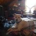 Arnold Hill - Facebook