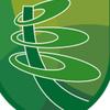 Arnold hill - @arnoldhill.yr8 - TikTok