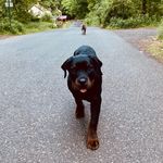 Arnold J. Kaplan - @a.j.nalpak - Instagram