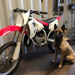 Arnold kroese - @arnoldkroese2010 - Instagram